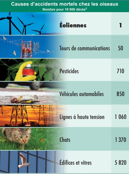 Éolienne domestique Québec, prix, fonctionnement - Écohabitation